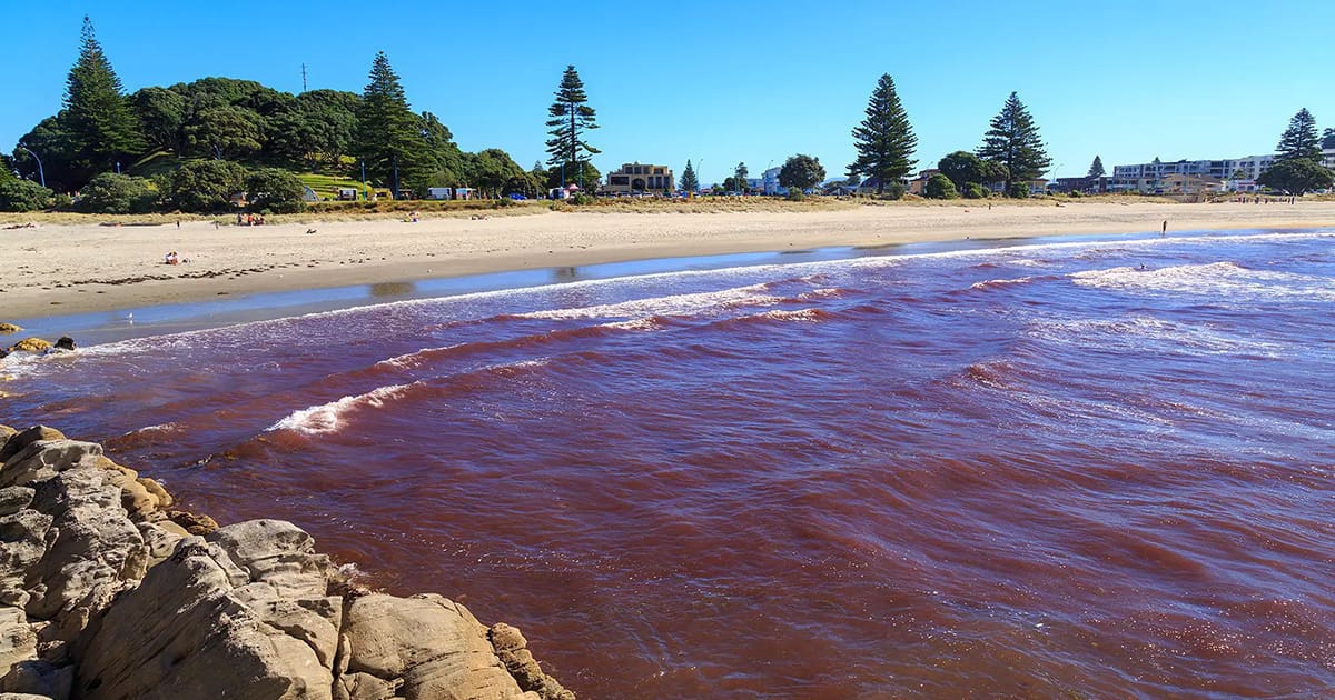 Featured image for “Harmful Algae Blooms are Rising: Could a Water Testing LIMS Help?”